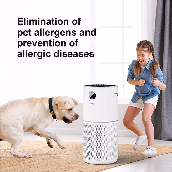 Soto-G5 Wholesale RoHS Home Car Plasma Air Sterilizer Medical Disinfection Portable UV Air Purifier for Hospital