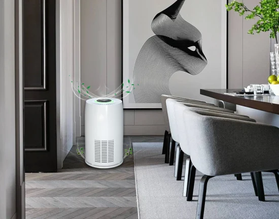 デスクトップ 2023 中部屋 30m2 空気清浄機 センサー付き H13 家庭用空気清浄機